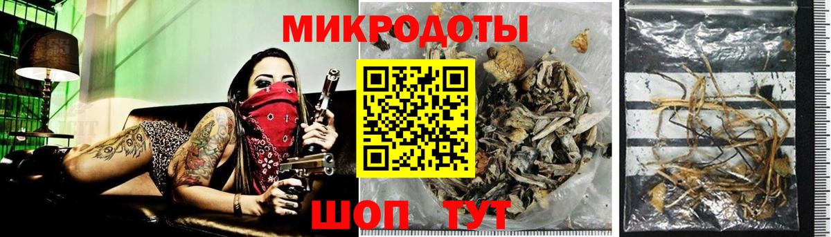 Псилоцибиновые грибы мицелий  Вход с VPN  Кизляр 